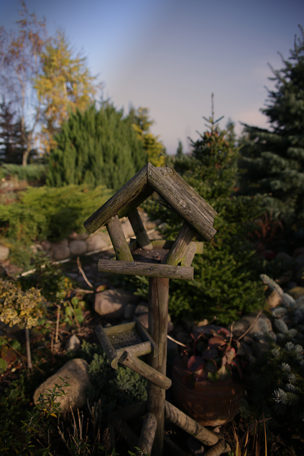 Fragment ogrodu projektowanego przez Beatę Owczarek (Szczecin)